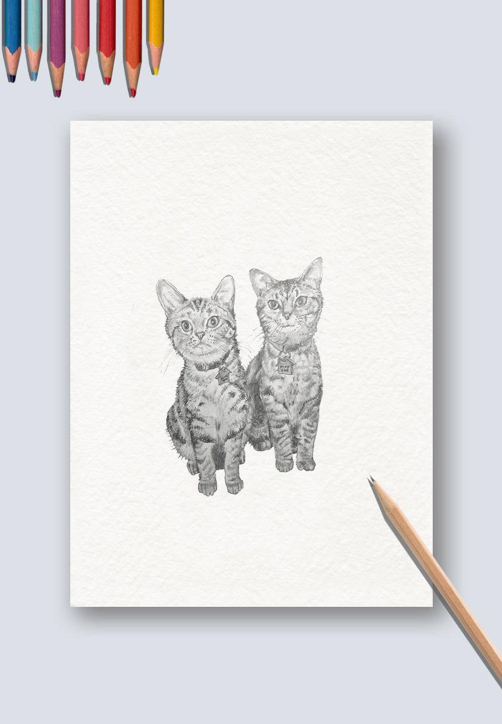 Leon & Jasper the Tabbies Cat Art Print
