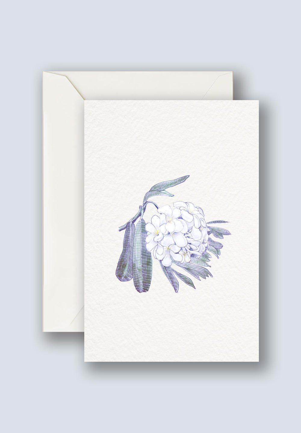 Plumeria Greeting Cards 1