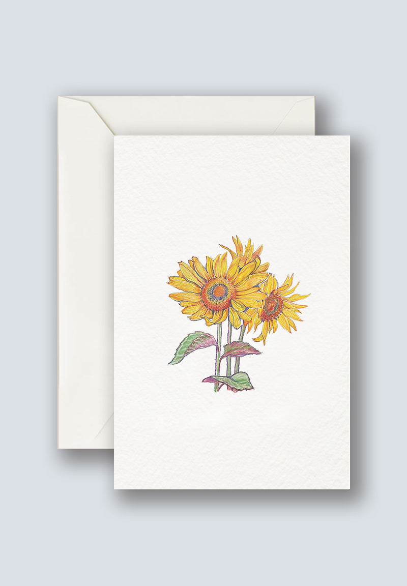 Sunflower Greeting Cards 3
