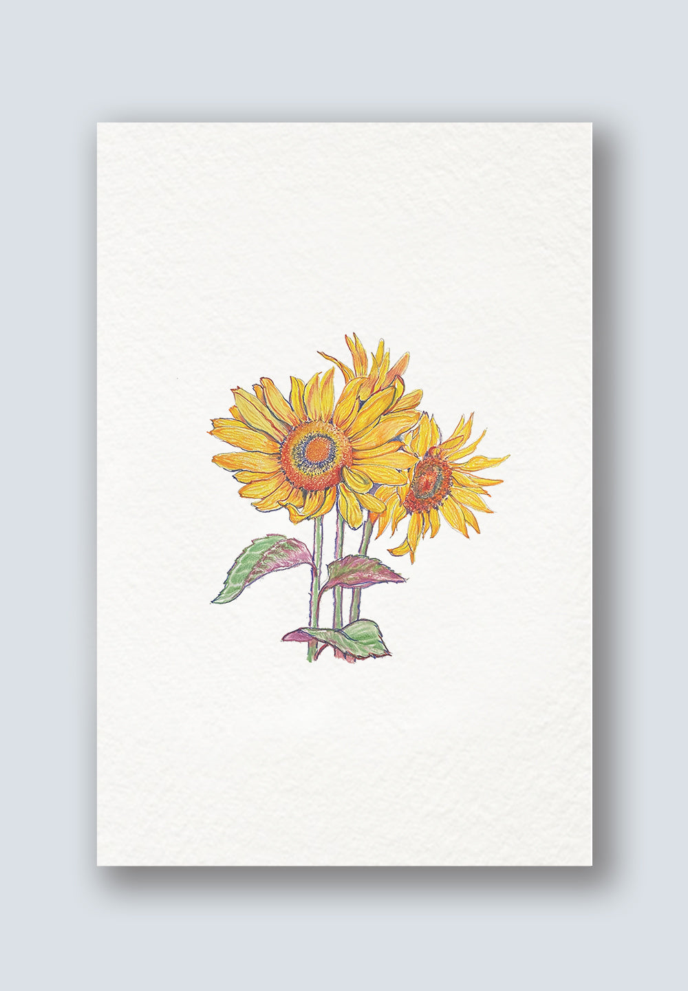 Sunflower Greeting Cards - Mother's Day