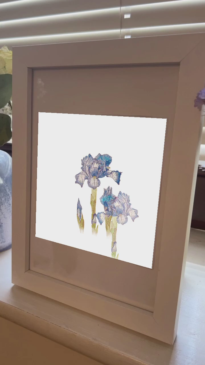 Miragi AR Wall Art - Irises Video