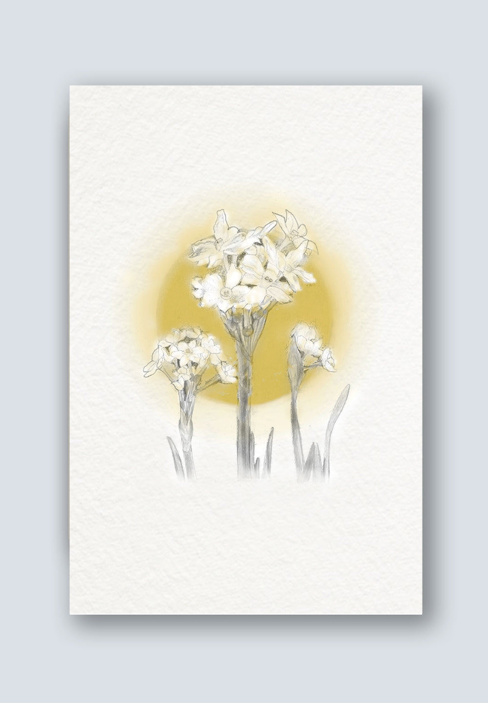 Lily Greeting Cards - Mother's Day