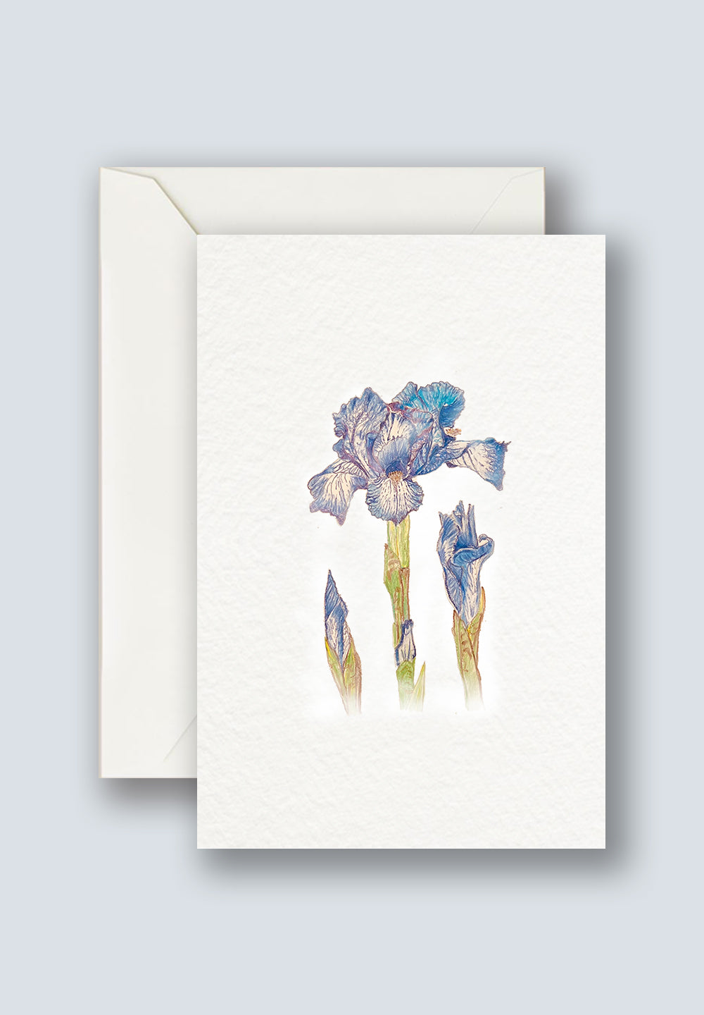 Iris Flower Greeting Cards for mother days