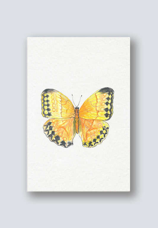AR Interactive Butterfly Greeting Card - Thinking of You